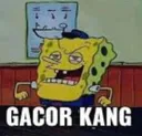 GACORKANG