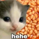hehebeans