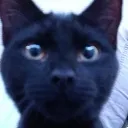 soaboutyourcarinsurance