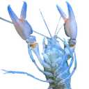 CrayHype
