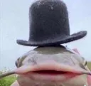 dingletopian