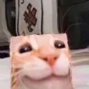 GabeCubed