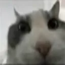 Ok