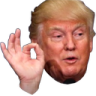 oktrump Discord emoji
