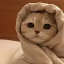 cold