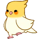 birbexcite