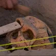 troglodytebonk