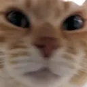 chloeWhat chloeWhat