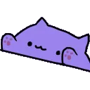 carry_bongocat