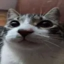 feetchecker