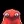 nohide