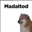 madeltod_Jay madeltod_Jay