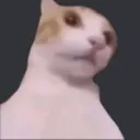 boiwhat2