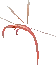 noot