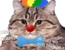 poti