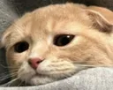 sad