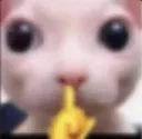 shush