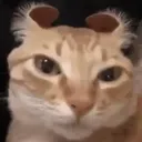 handsome