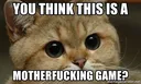 youthinkthisisamotherfuckinggame