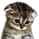SadKitty