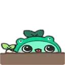 peek peek