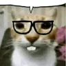 CatNerd