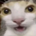 guh