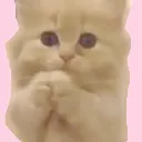 please