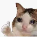sadmiau Discord Emoji