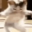 cat_dance