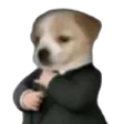 spuukyGrind spuukyGrind