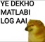 carry_matlabi_log