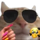 ACatPeriodt Discord Emoji