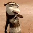 NW_dueces