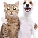 panas
