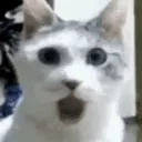 shock
