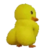 Duckass