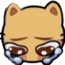 kittycry