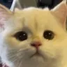 sad sad