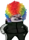 clown_dogge