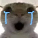 sad_hegehe