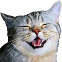 kekcat