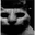 catDespair catDespair