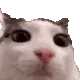 plink
