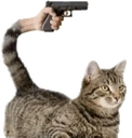 meowGunner Discord emoji