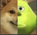 dogewaz dogewaz