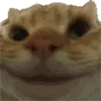 YeppersCat