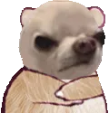 esogX_angry_no esogX_angry_no