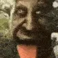 treeLaugh