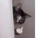 sky_cat_fo Discord Emoji